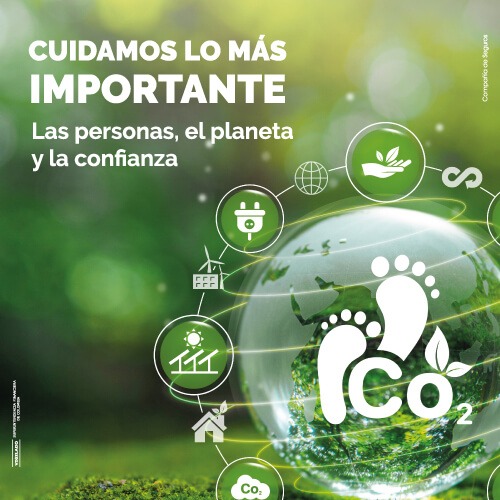 Recibimos por segundo año consecutivo la insignia Árbol CO2CERO, del programa Sello Verde de Verdad